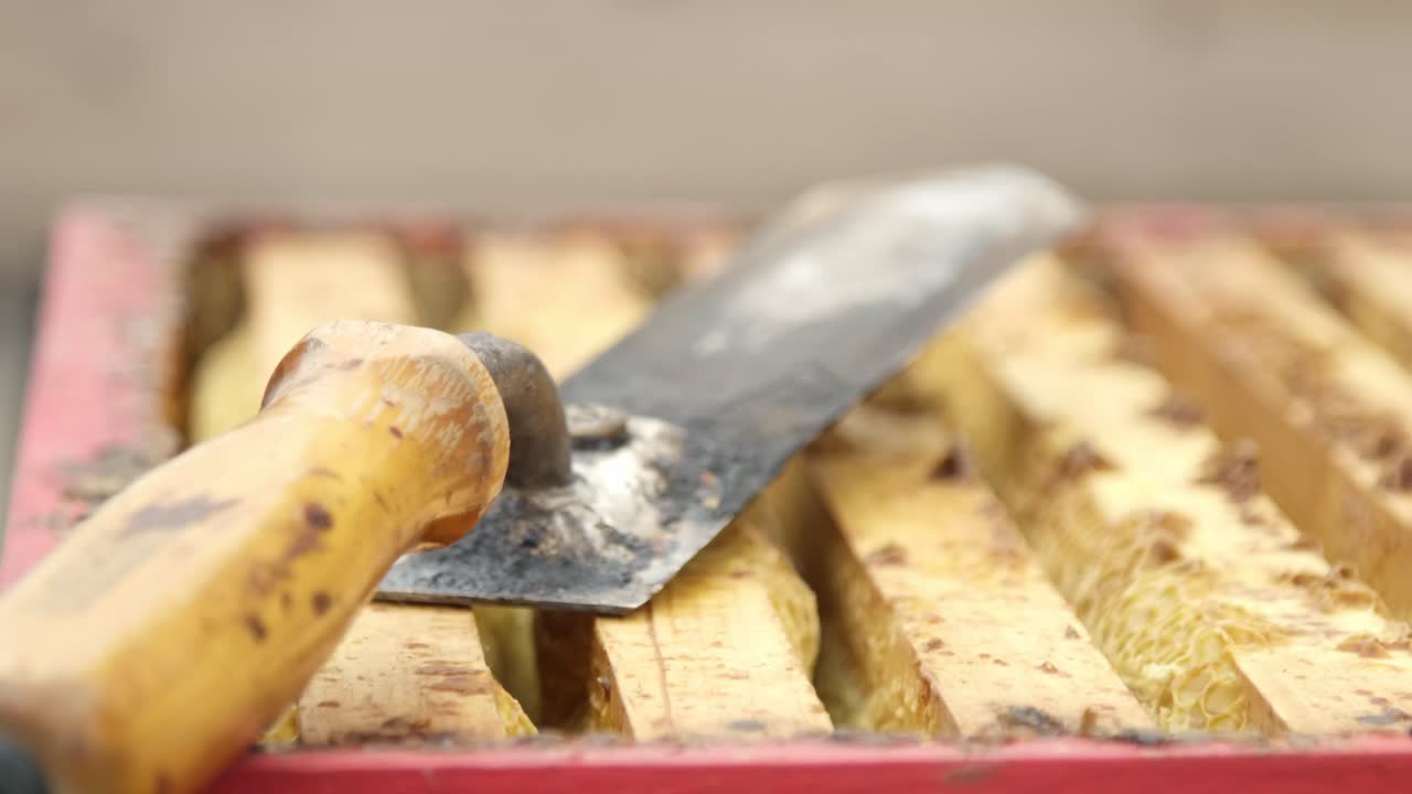 Close up shot of a spatula on top of a man made beehive full of honey, with bees flying around