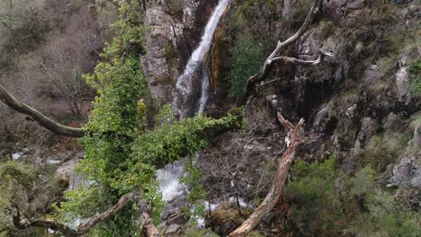 el agua pura de la montaña fluye sobre las rocas
