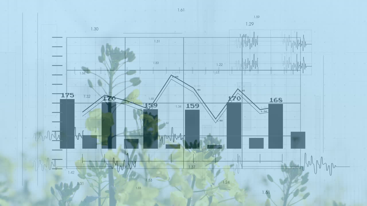 바람 꽃을 통해 금융 데이터 처리의 애니메이션