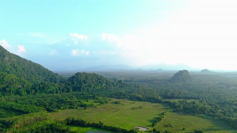 aerial establishing shot of dense foliage in the surat thani countryside