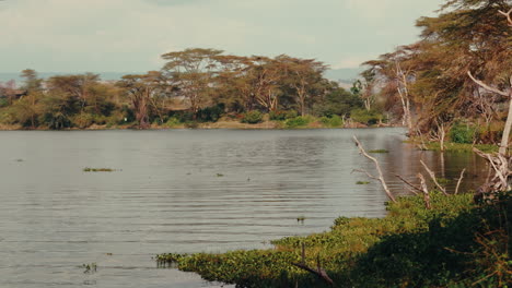 african lake scenery