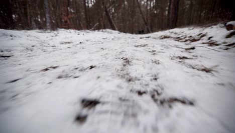 Cámara-Moviéndose-Rápido-Cerca-Del-Suelo-Nevado-En-Un-Bosque-En-Invierno,-Estilo-De-Vida-De-Actividad-Invernal