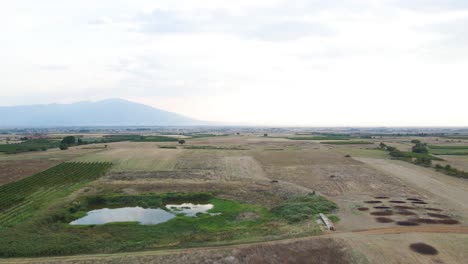 Backward-moving-4K-clip-over-the-countryside-and-vineyards-in-close-to-the-village-Choristi,-in-Drama,-Greece