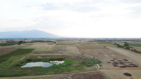 clip de 4k en movimiento hacia atrás sobre el campo y los viñedos cerca del pueblo choristi, en drama, grecia