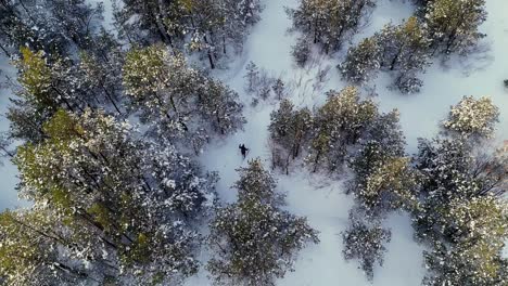 Una-Persona-Irreconocible-Camina-Con-Esquís-En-La-Nieve-En-Un-Bosque-Blanco