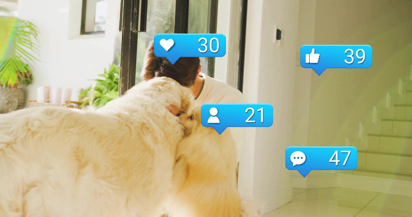 ソーシャルメディアのバブルが表示され、10代の少年がレトリバー犬を撫でていると、いいねやコメントが急増する。