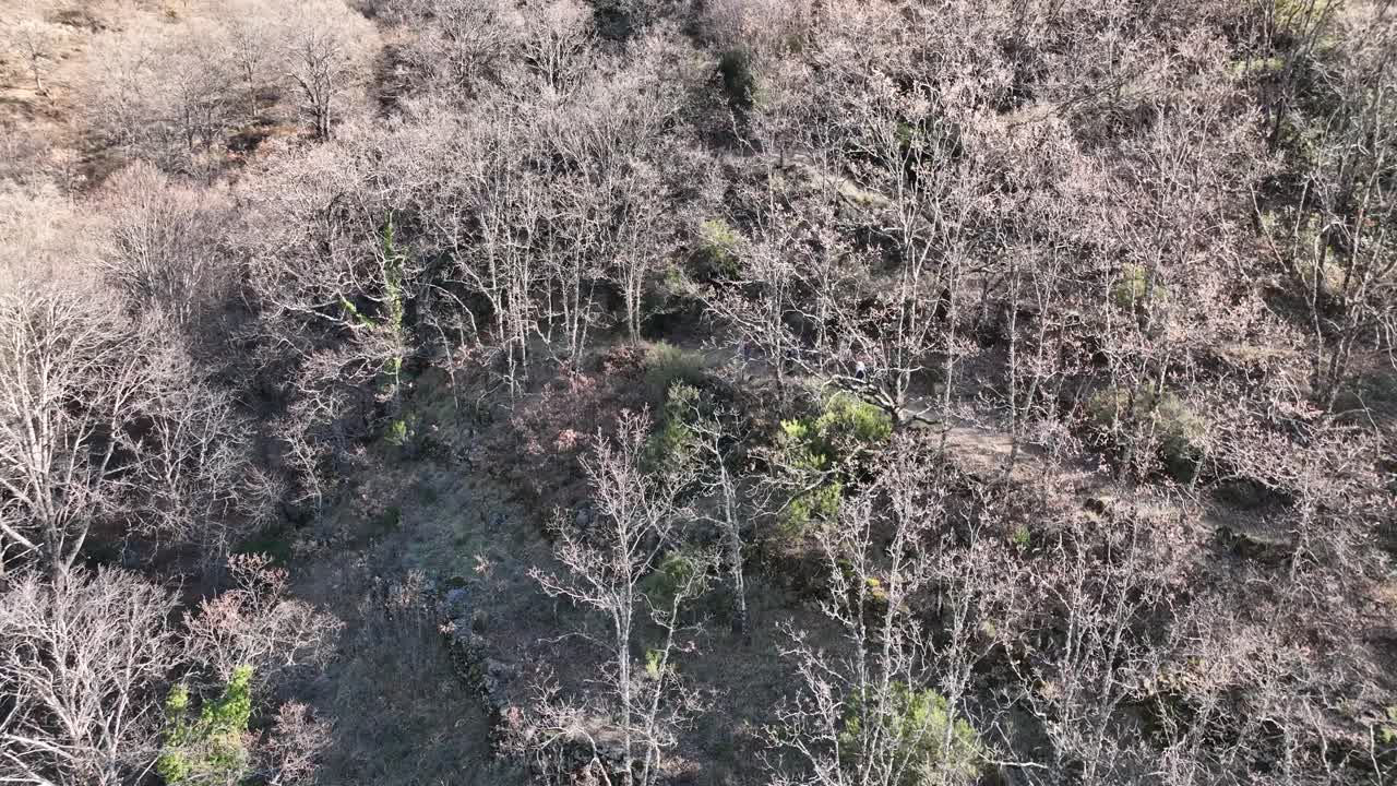 位於西班牙的 valle del jerte 的美麗景色