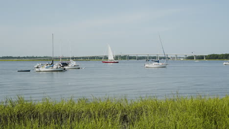 boats anchored on the ashley river on a sunny day, wide shot, static