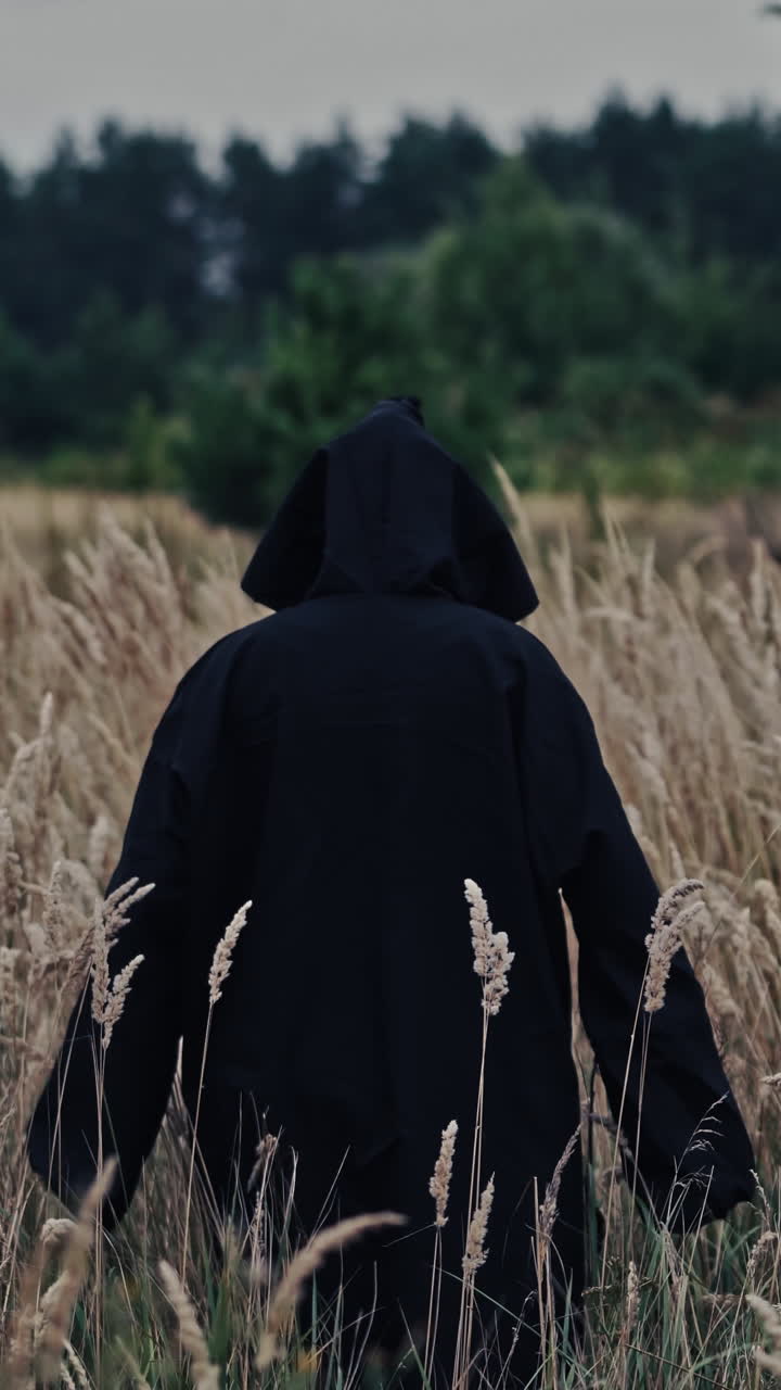 Ghost wandering in nature. Hooded ghostly figure in countryside field Vertical video