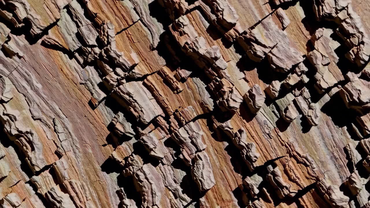 Abstract Close-up of Layered Rock Texture