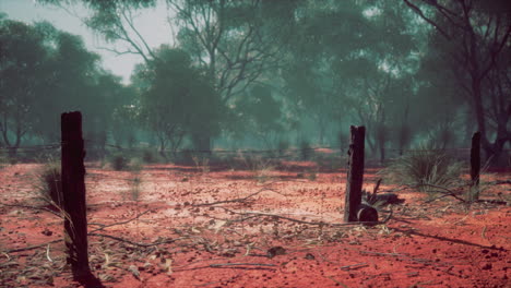 Old-rural-barbed-wire-fence-with-wooden-posts