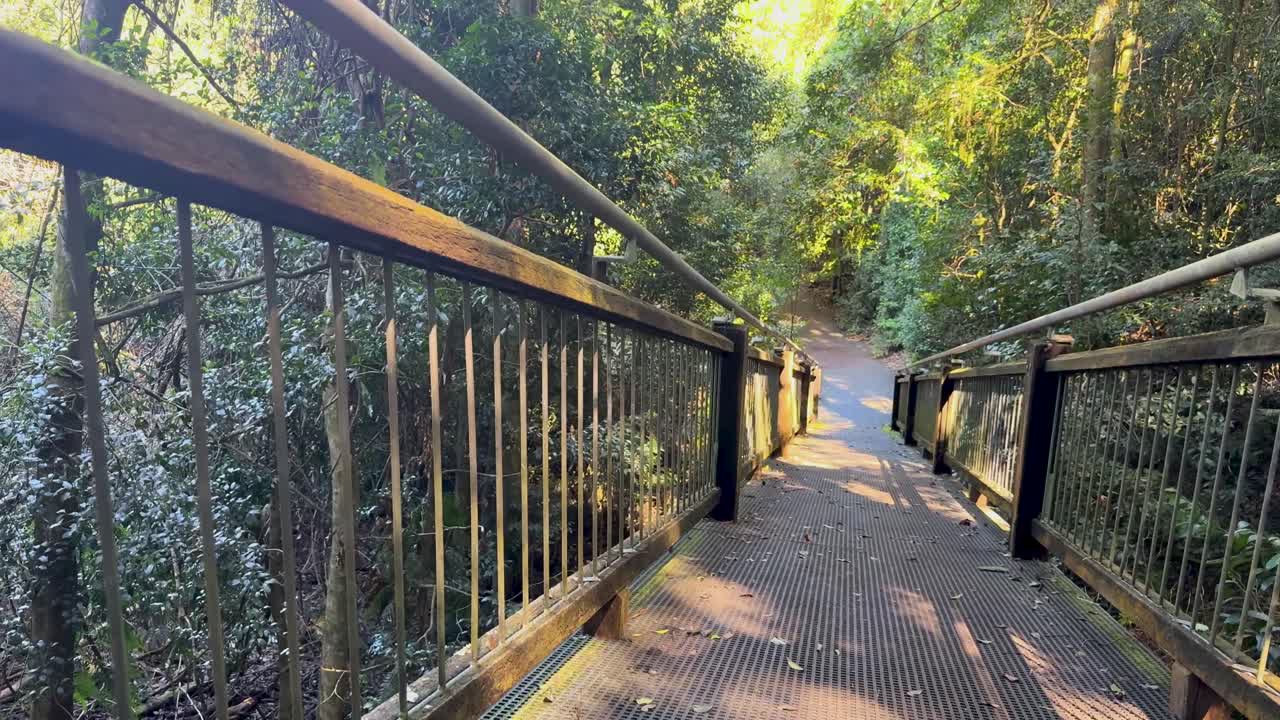 Camera smoothly moves down a wooden walkway surrounded by dense green foliage in bright, natural daylight, capturing tranquil rainforest scenery and immersive perspective
