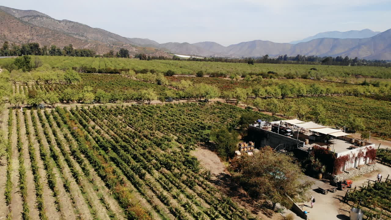 Aerial View of a Vineyard with Mountains in the Background