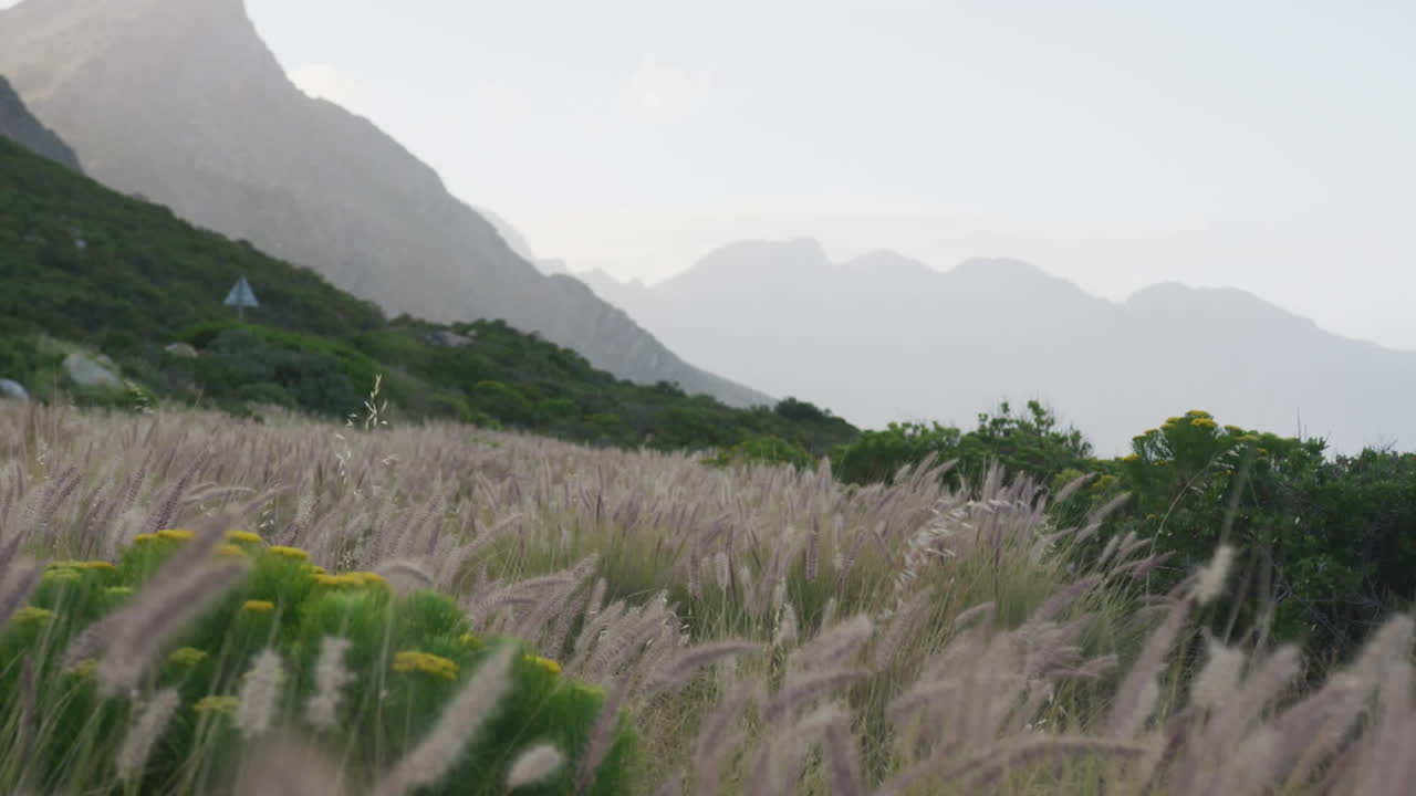 검은색과  ⁇ 색으로 쓰여진 단어 바이브의 애니메이션 남자 운동, 산에서 달리기