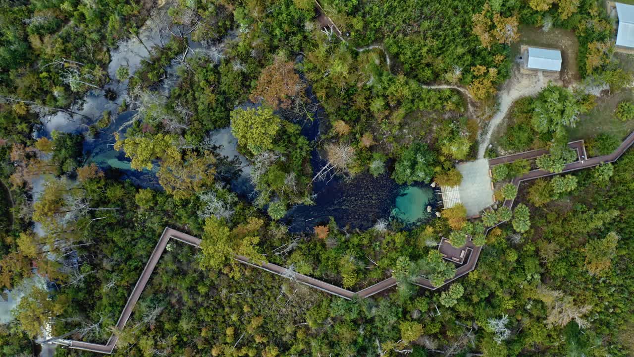 Turquoise and sapphire spring waters flow beneath a dense canopy of Florida forest near Pitt and Sylvan Springs, where a zigzagging wooden boardwalk cuts through lush vegetation and natural pools