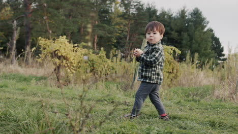 a funny farm boy walks along the vineyard and eats an apple