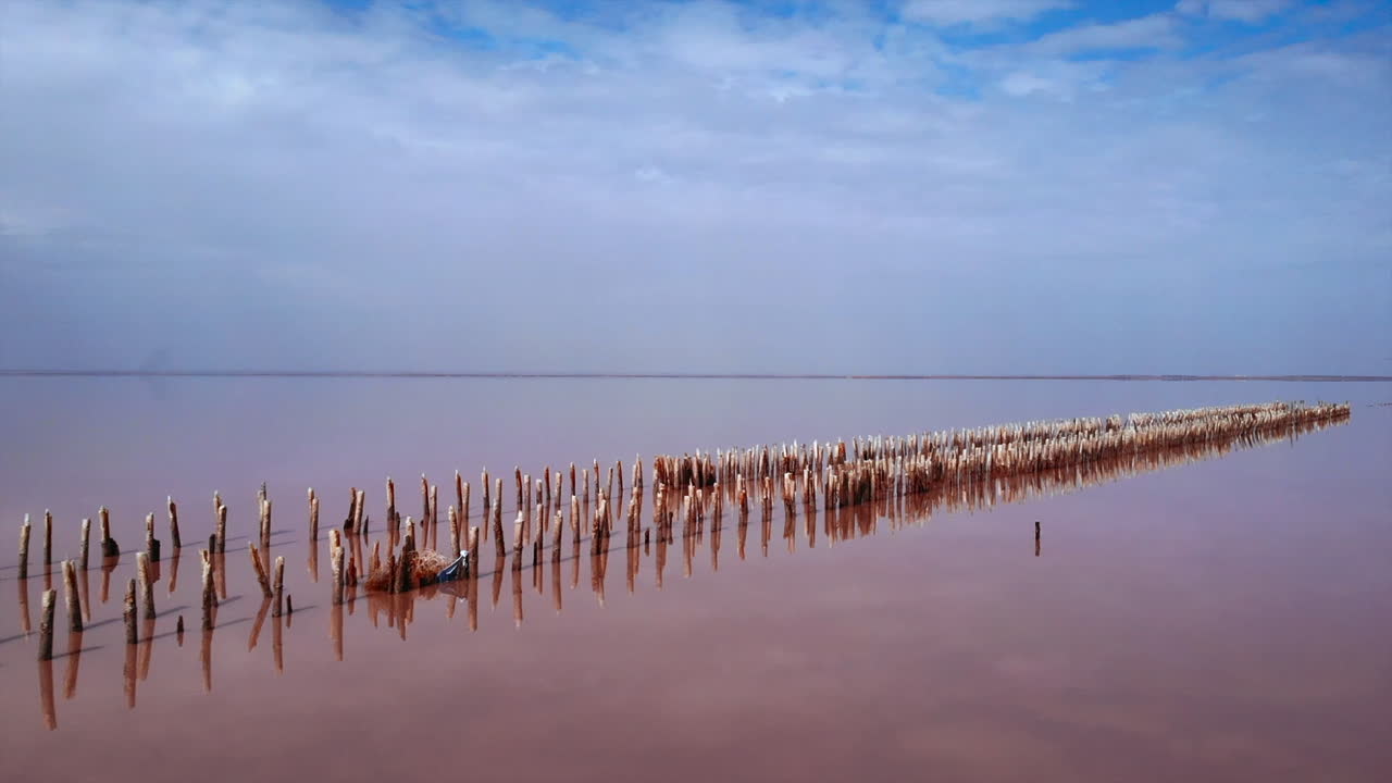 Pink Salt Lake with Wooden Poles and Reflections