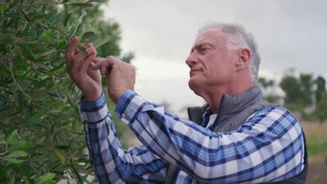 mature man working on farm