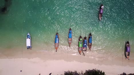 4K-AERIAL-OVERHEAD-SHOT-of-of-Long-boats-moored-in-Phi-Phi-Island-bay,-Phi-Phi-Don,-Thailand