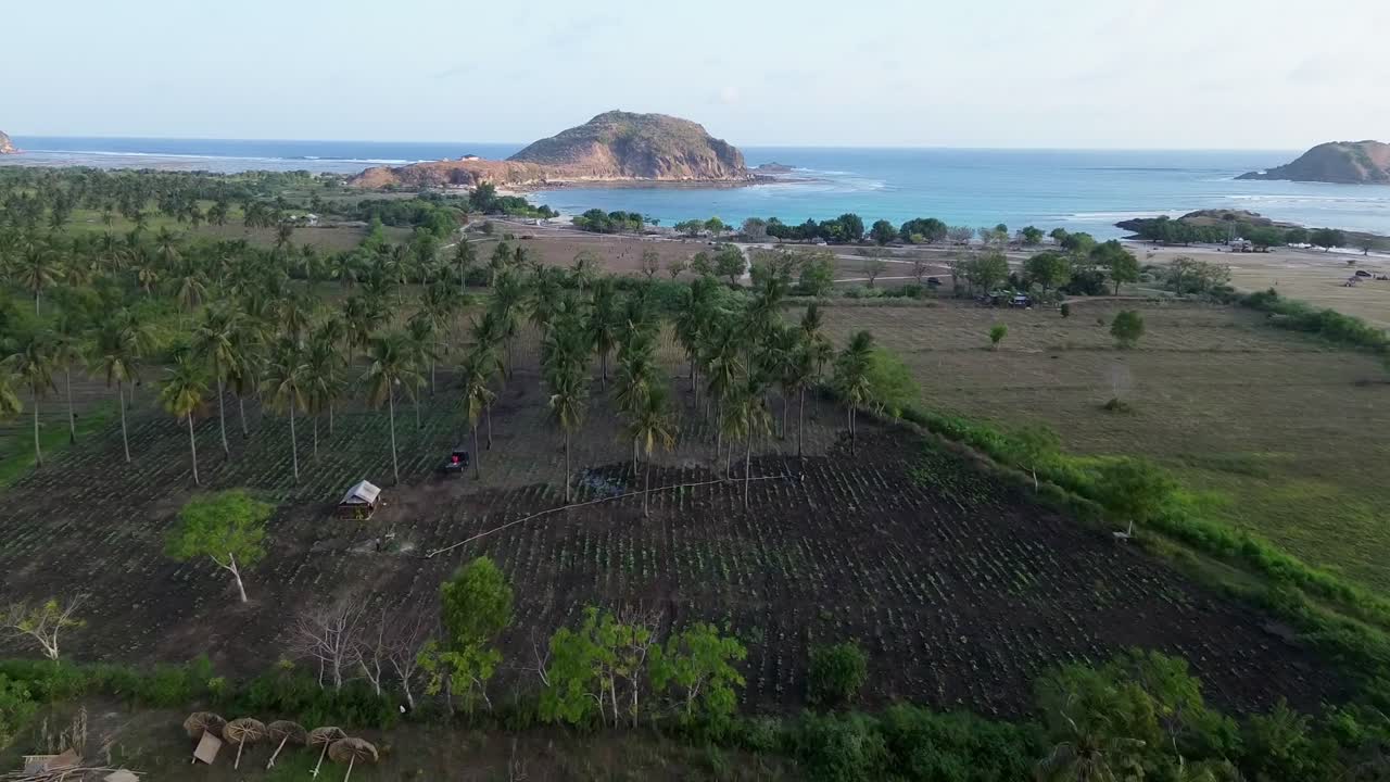 Drone Video of Tanjung Ann Beach – Bay View with Turquoise Waters, White Sand, and Palm Trees on Lombok’s Stunning Southern Coastline