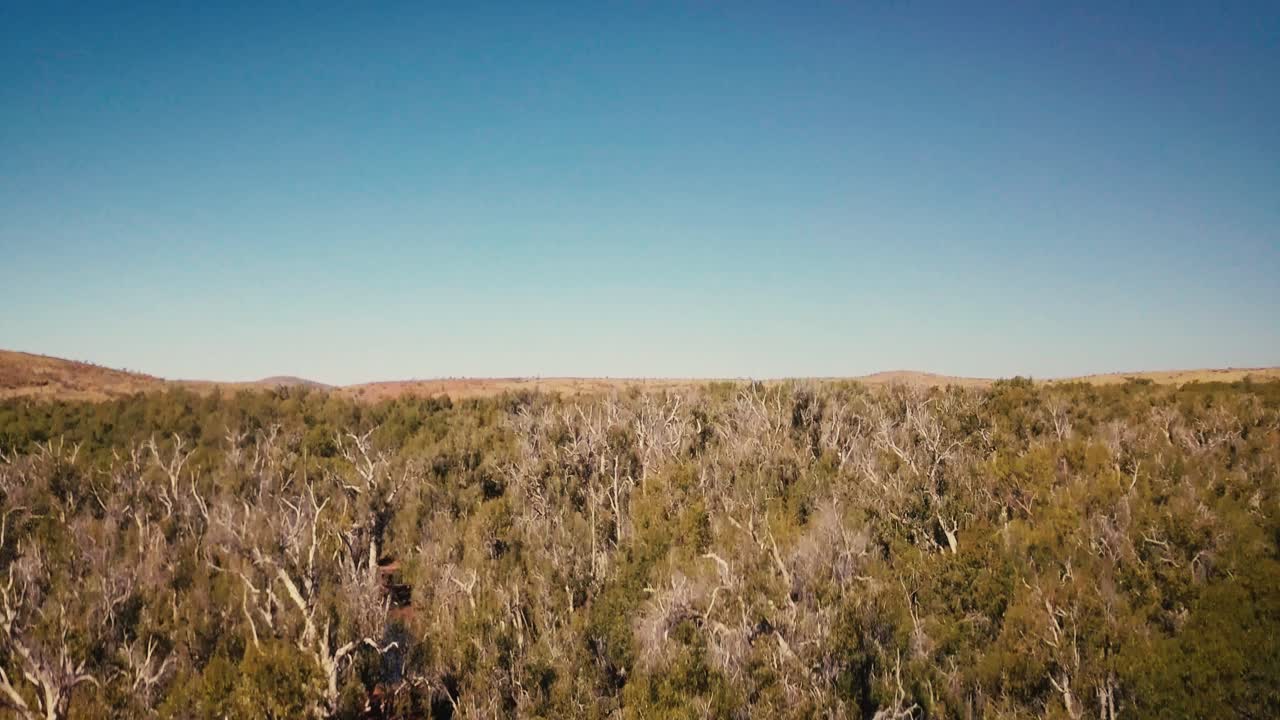 vista superior del drone aéreo elevándose a través del oasis del desierto australiano billabong