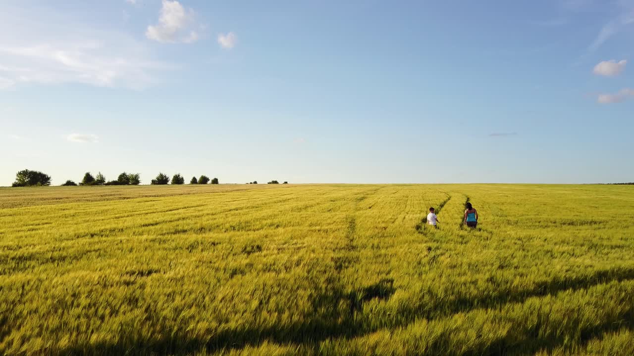 Family Walking Around Field. Aerial shot of mother and son walking on the wheat field
