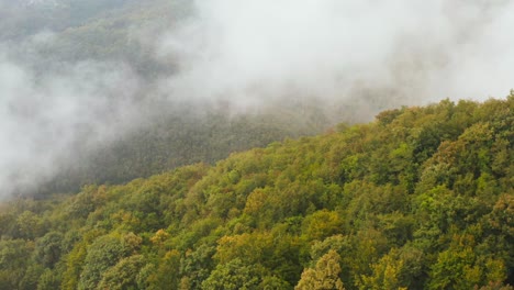 épica toma aérea de drones volando sobre un colorido bosque montañoso