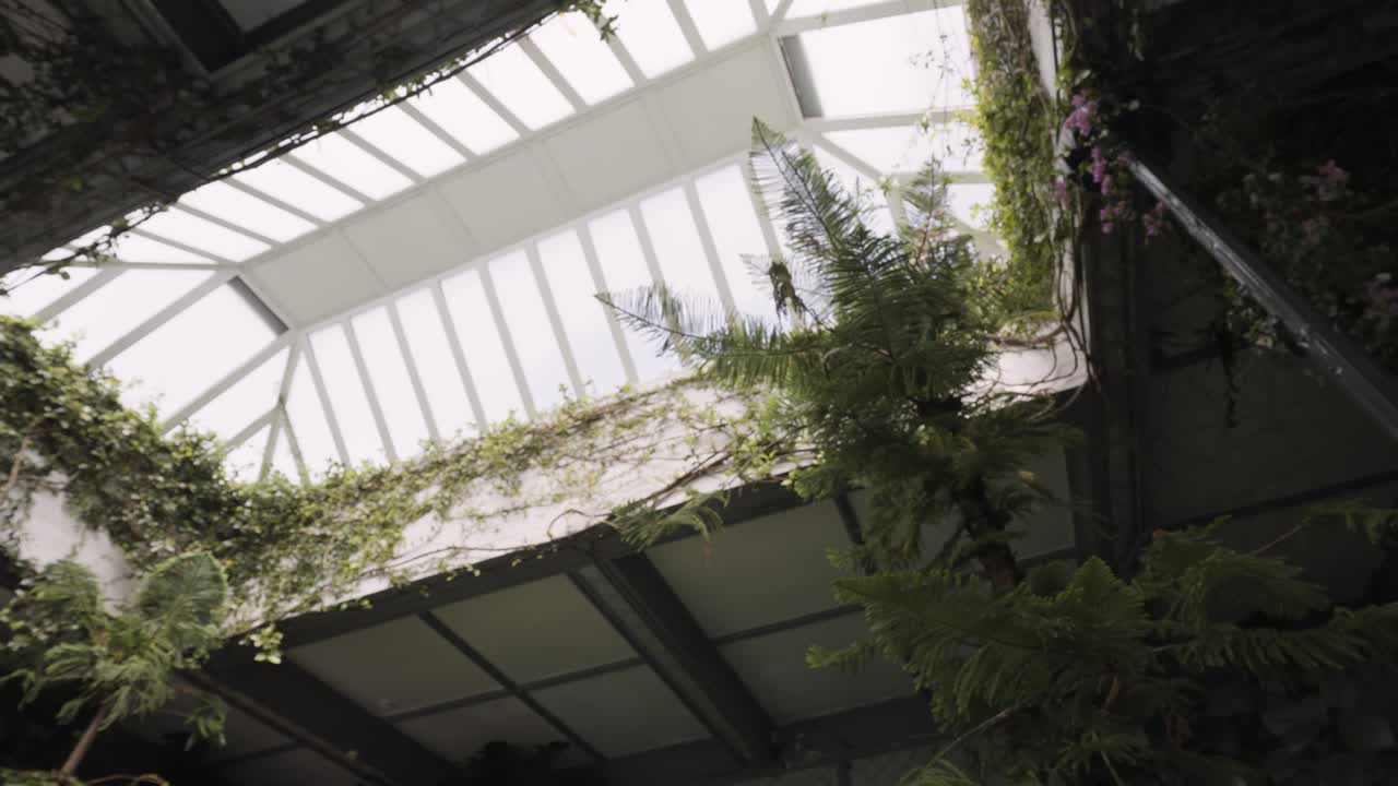 invernadero interior con plantas exuberantes y claraboya