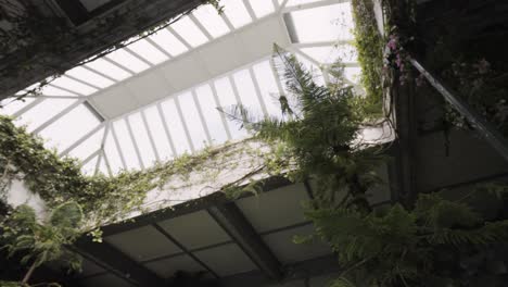 interior greenhouse with lush plants and skylights