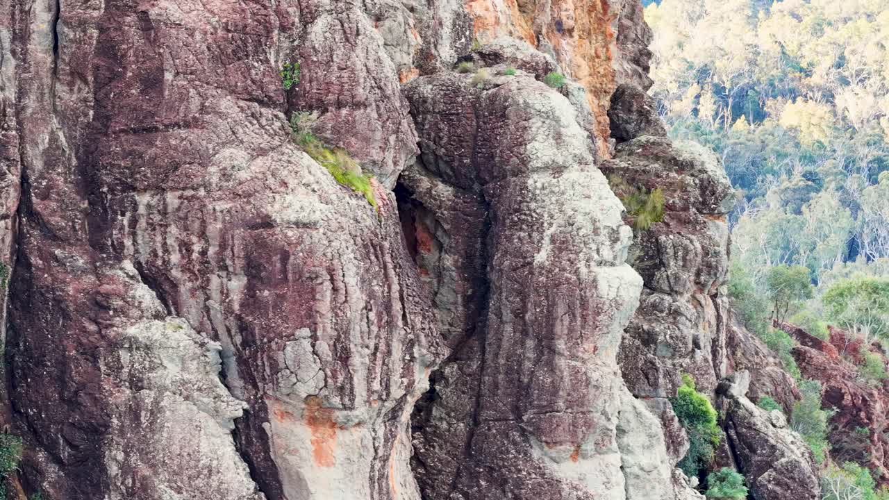 Drone glides past rugged sandstone cliffs, revealing dense bushland below in warm sunset light