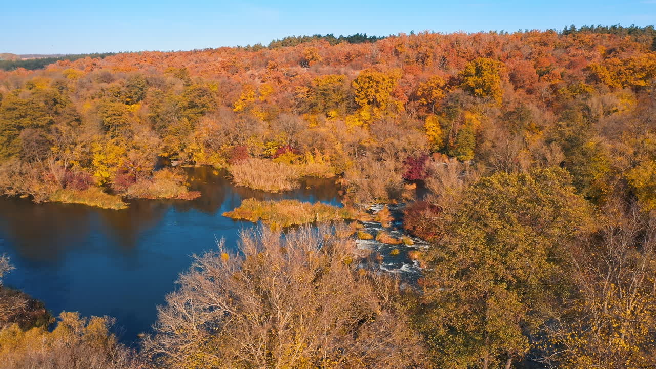 Brown tree colors forests. Autumn yellow nature river landscapes.