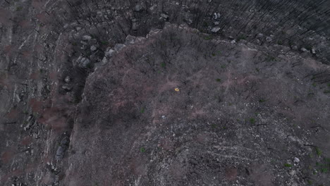 bird's eye view of man walking through burnt forest area in el pont de vilomara, spain - drone shot