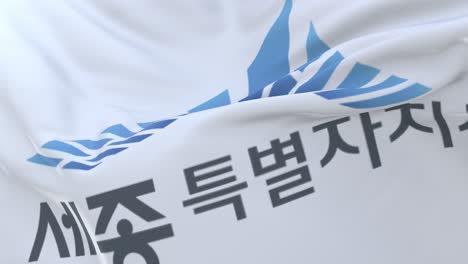 sejong flag, city of south korea, loop