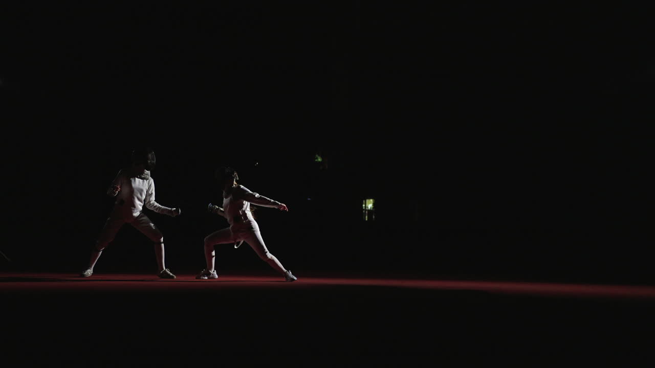 Two Fencers in action