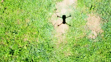 shadow of drone flying over the grass -drone view over green grass in village of africa town loitokitok kenya africa