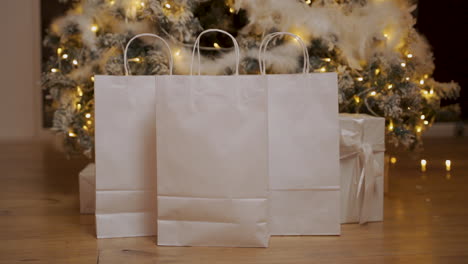 paper bags with blank space for christmas gifts