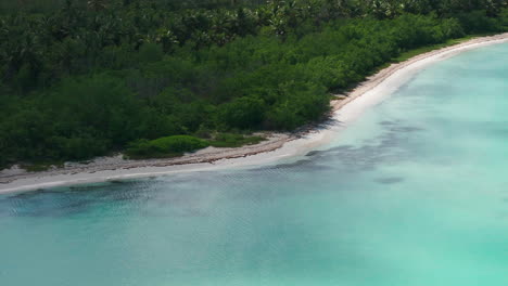 aerial shot of saona island. caribbean sea with clear turquoise ocean, sandy beach and green palms.dominican republic