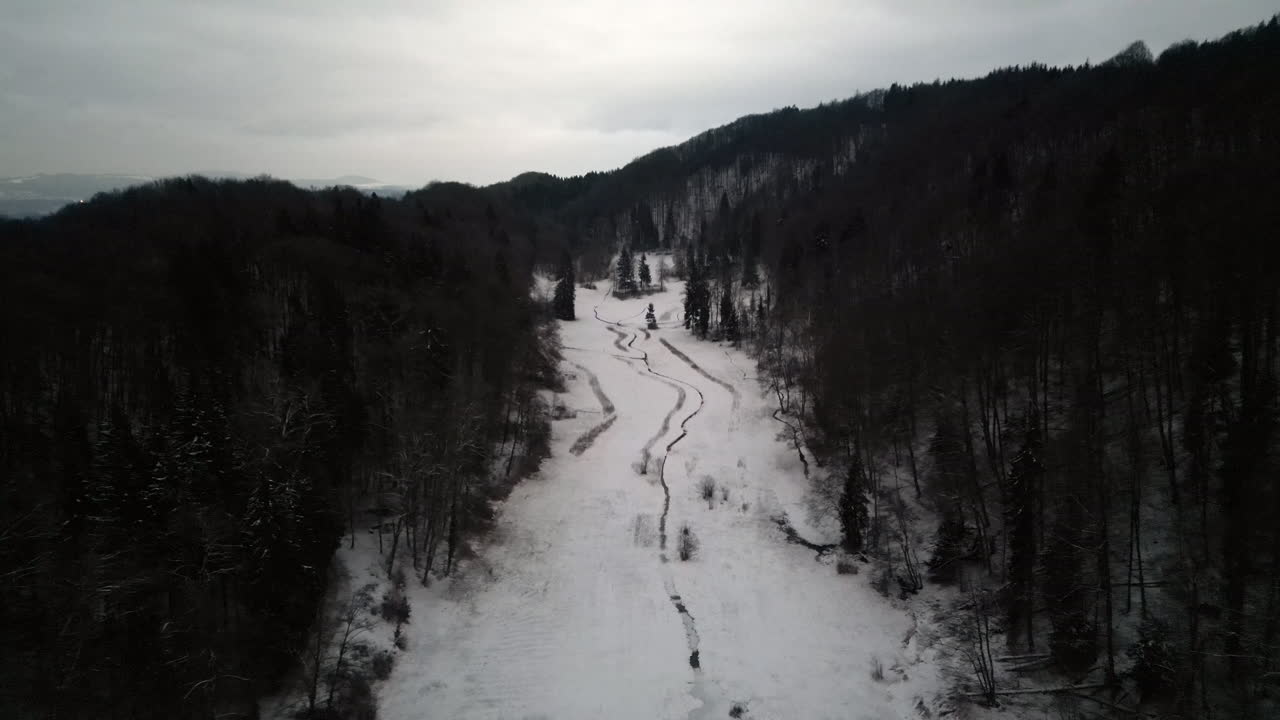 Discesa aerea invernale in un campo boscoso, Zurigo Svizzera