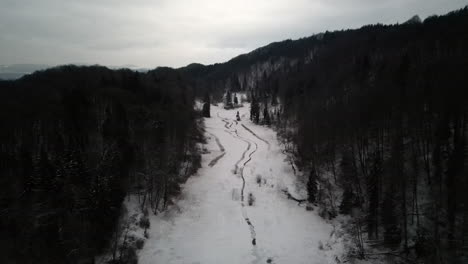 Winter-Woodland-Aerial-Descent-into-Forested-Field,-Zurich-Switzerland