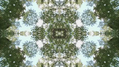 greenery kaleidoscope using forest imagery from wissahickon creek, philadelphia, #5