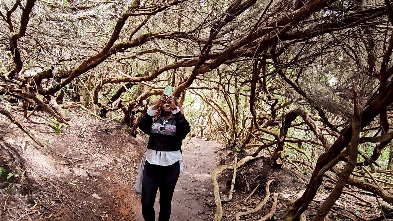 A person capturing the scenic beauty of a forested path in Anaga, Spain, surrounded by gnarled trees