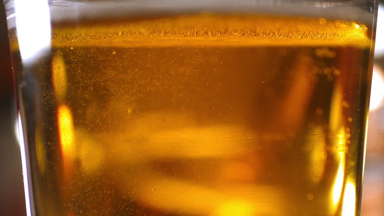 Slow Motion of Beer Bubbles Rising to the Top of a Pint Glass
