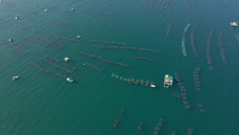 fotografía aérea de grandes granjas marinas en el mar abierto en los trópicos. concepto de cultivo marino