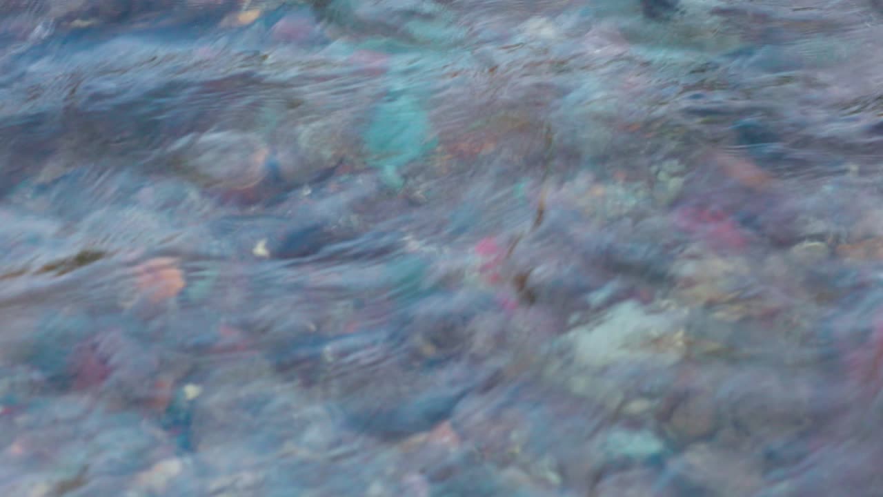 토이코에서 가장 좋은 전망