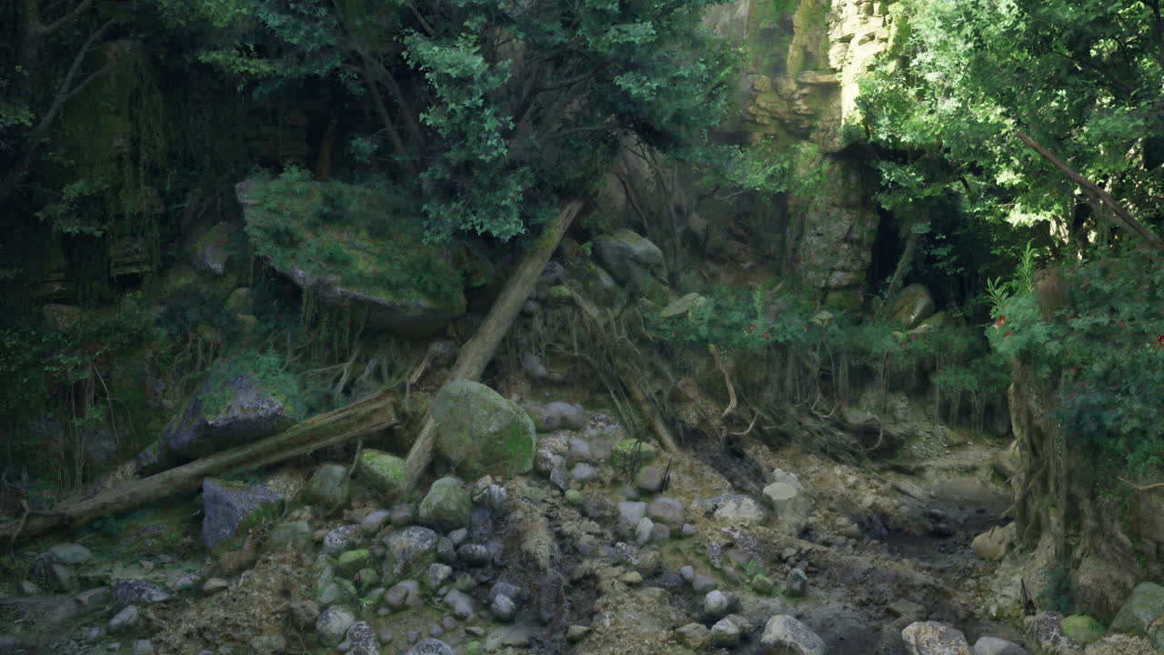 Tranquil forest with lush greenery and rocky terrain