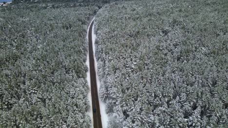 drone shot of the narrow asphalt road surrounded by snow-covered forest pine trees on a cloudy frosty winter day