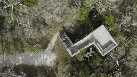 Excelente-Toma-Aérea-De-Un-Hombre-Escalando-Una-Torre-De-Observación-En-Un-Pantano-De-Florida