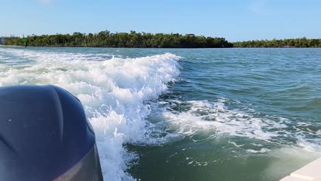 pod of dolphins swimming along the splashing waves behind motorboat