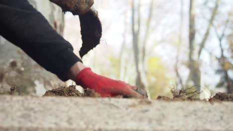 person working on garden soil near trees