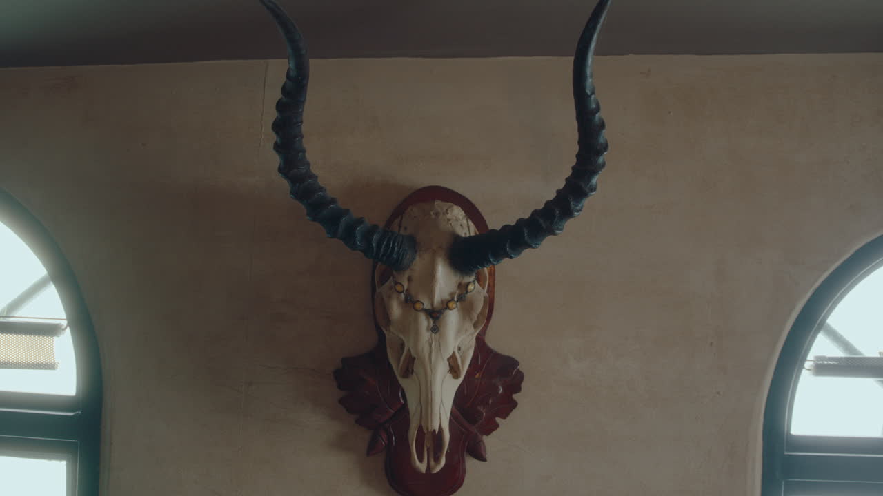 Antelope Skull with Horns and Jewelry on the Wall of Antique Shop